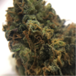 Blue Cheese (Indica Dominant Hybrid 80:20)