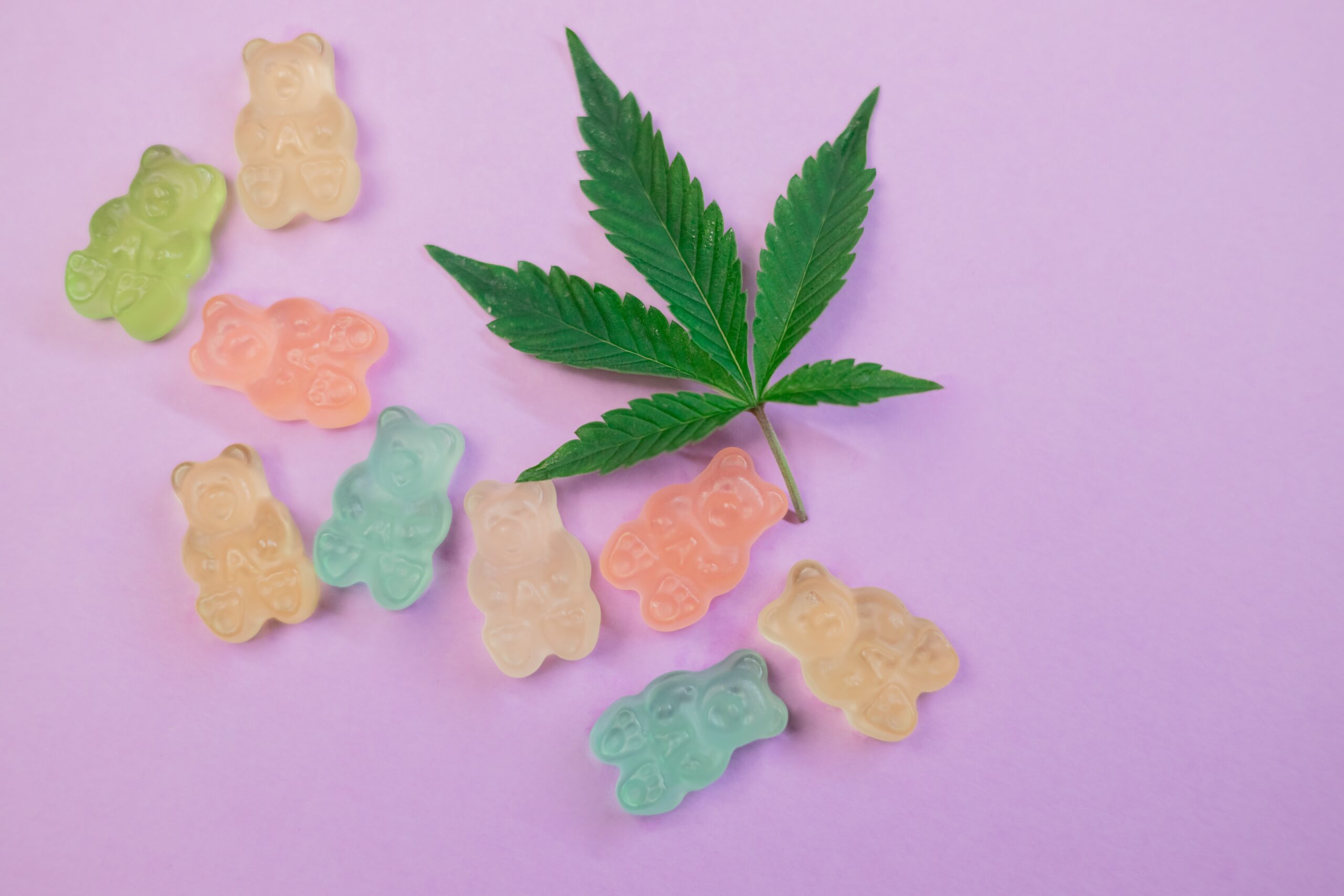 The Ultimate Guide to Cannabis Edibles