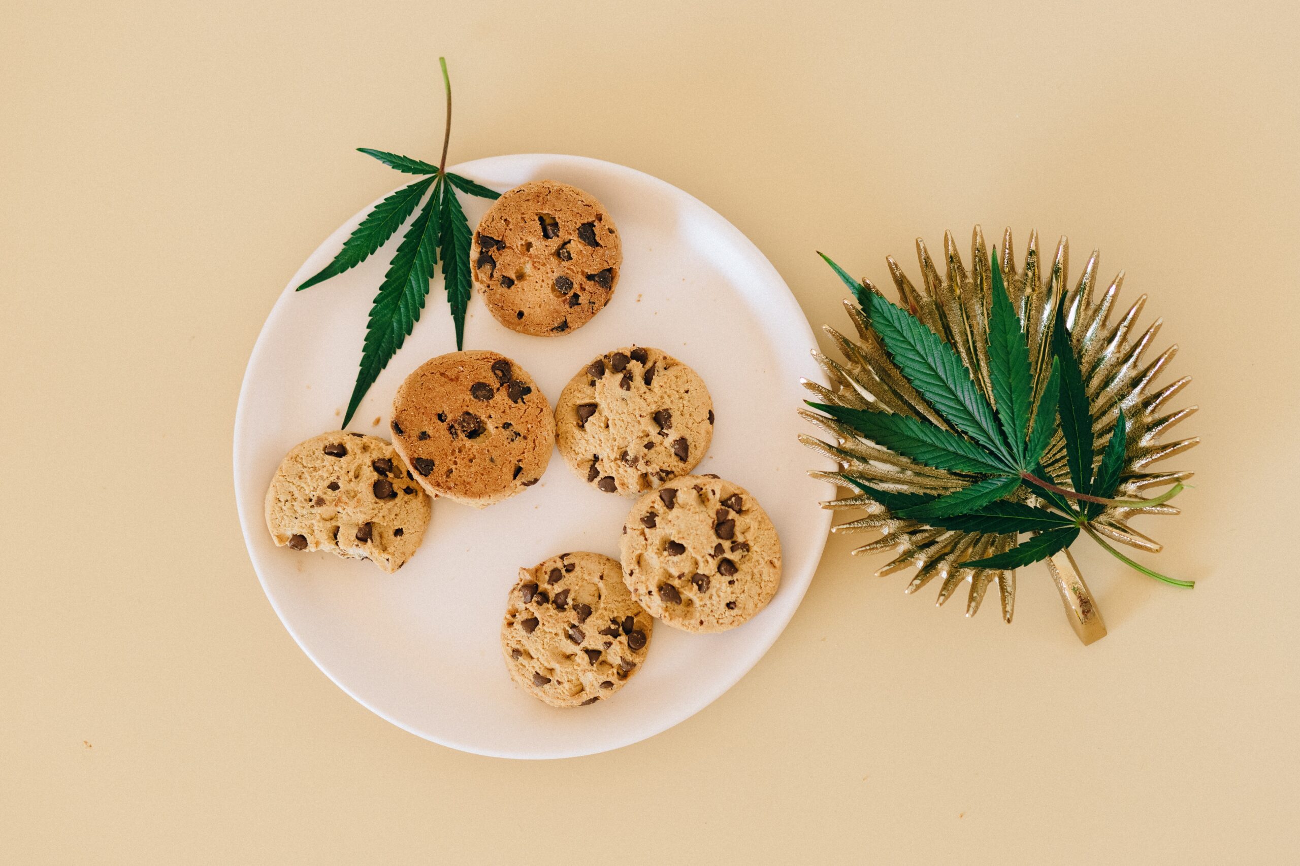 5 Tips for Cooking with Cannabis in Maryland