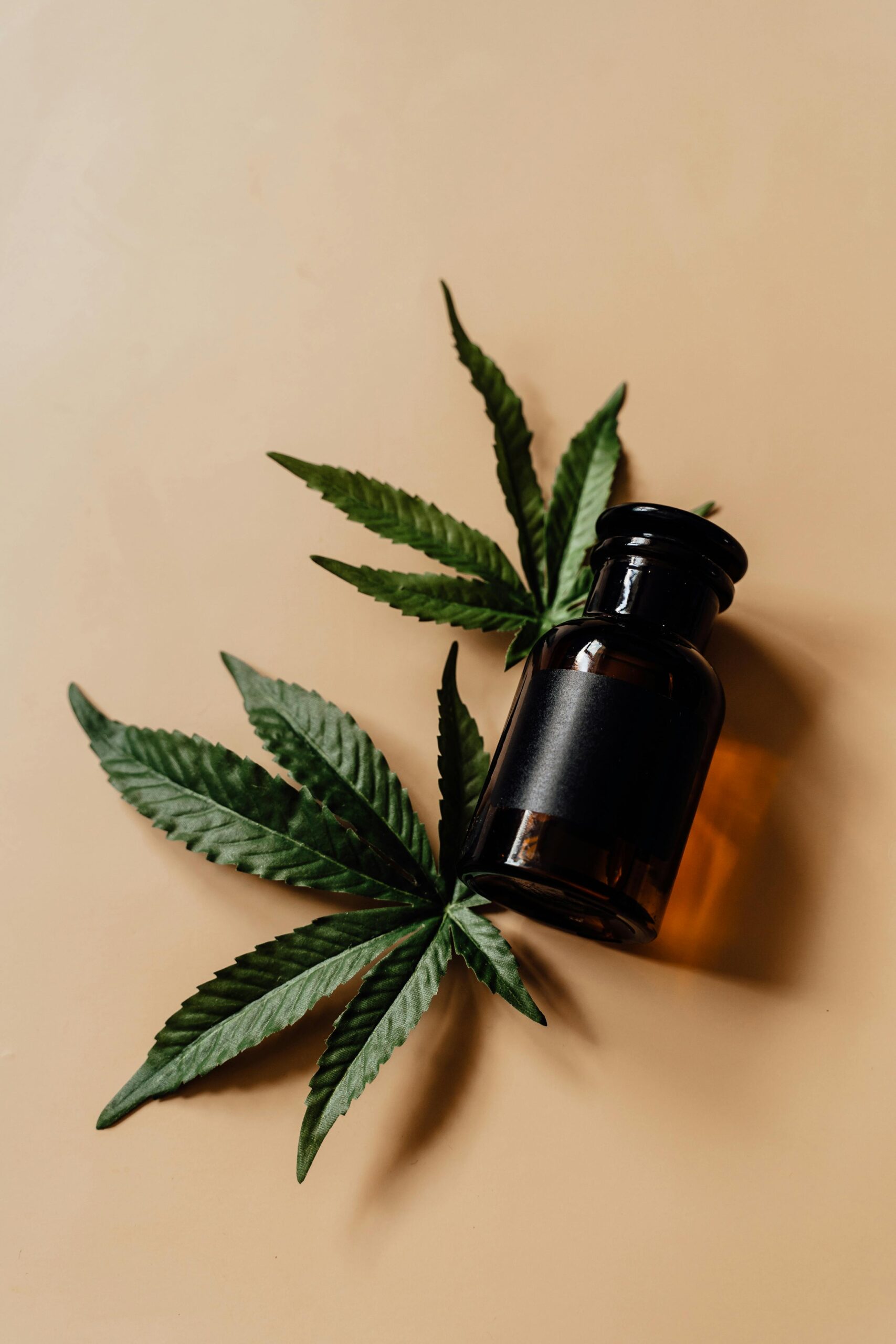 cannabis tinctures for focus in Maryland