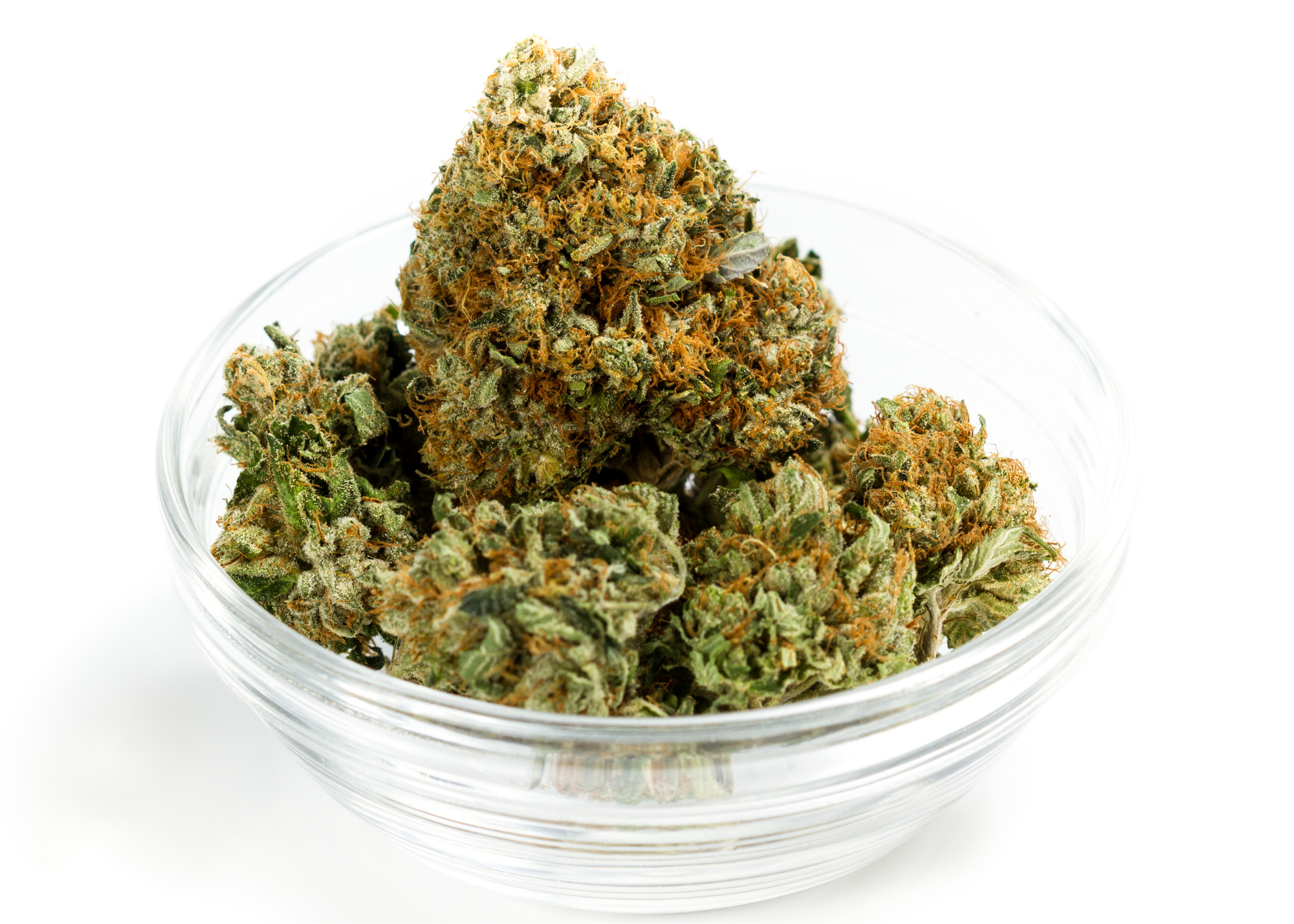 Cannabis use in White Plains