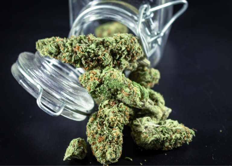 white plains dispensary