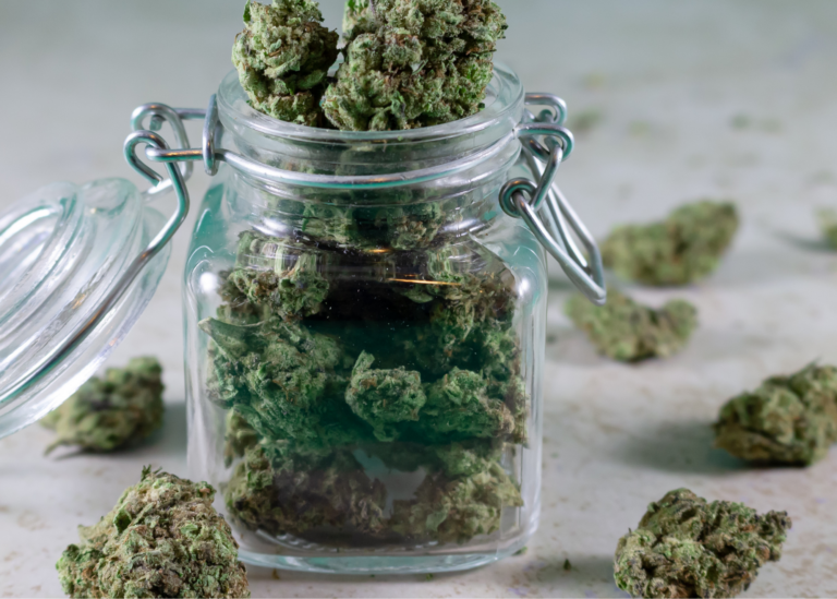 best strains for nausea in Maryland