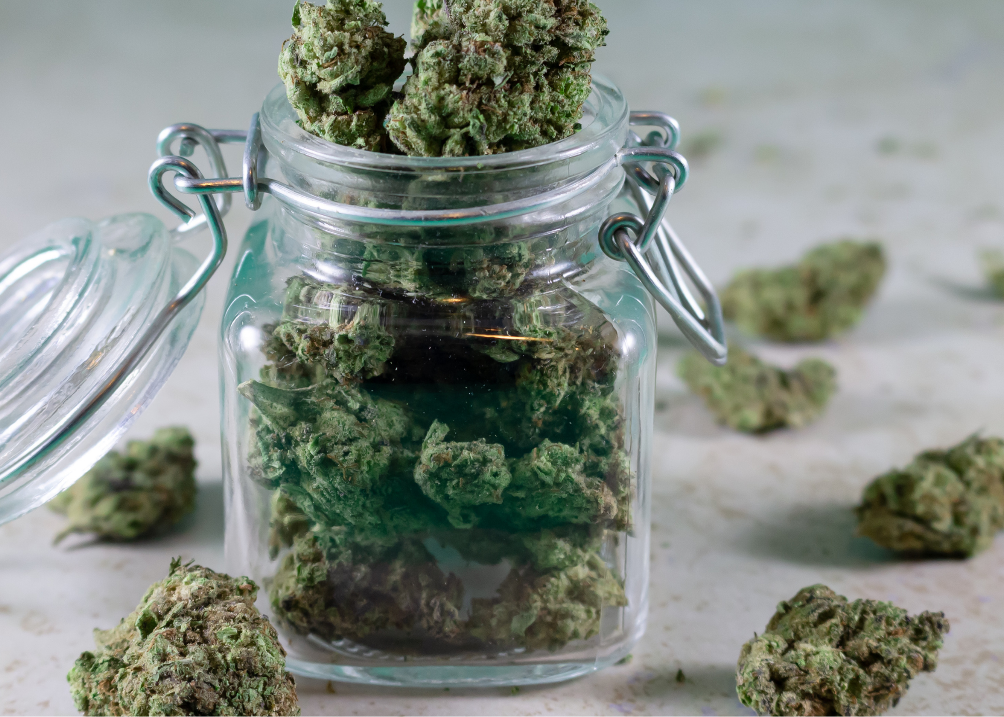best strains for nausea in Maryland