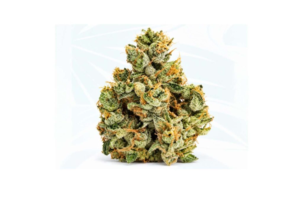 Garlic Cookies