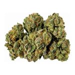 Girl Scout Cookies